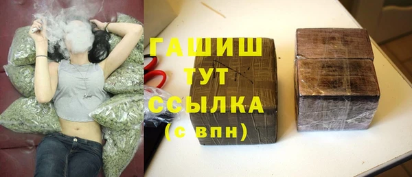 сатива Гусиноозёрск