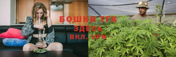молекула духа Гусев