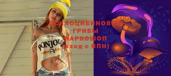 сатива Гусиноозёрск