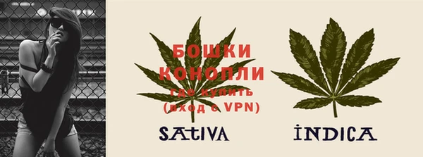 сатива Гусиноозёрск