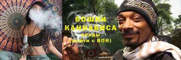 молекула духа Гусев