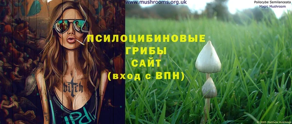 сатива Гусиноозёрск