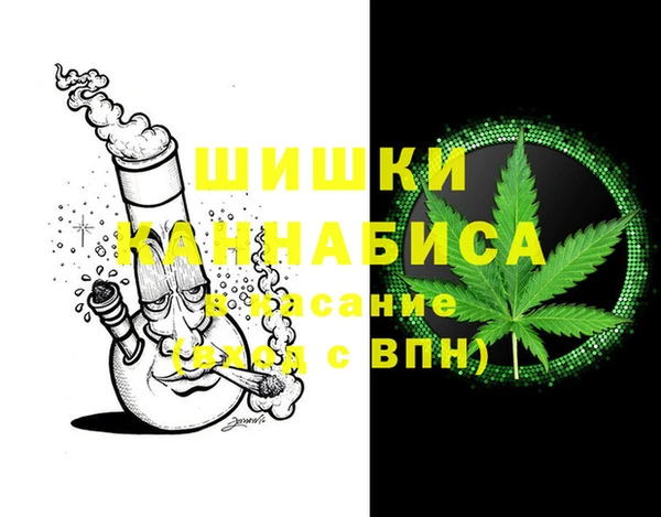 сатива Гусиноозёрск
