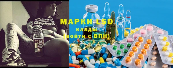 сатива Гусиноозёрск