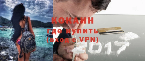 молекула духа Гусев